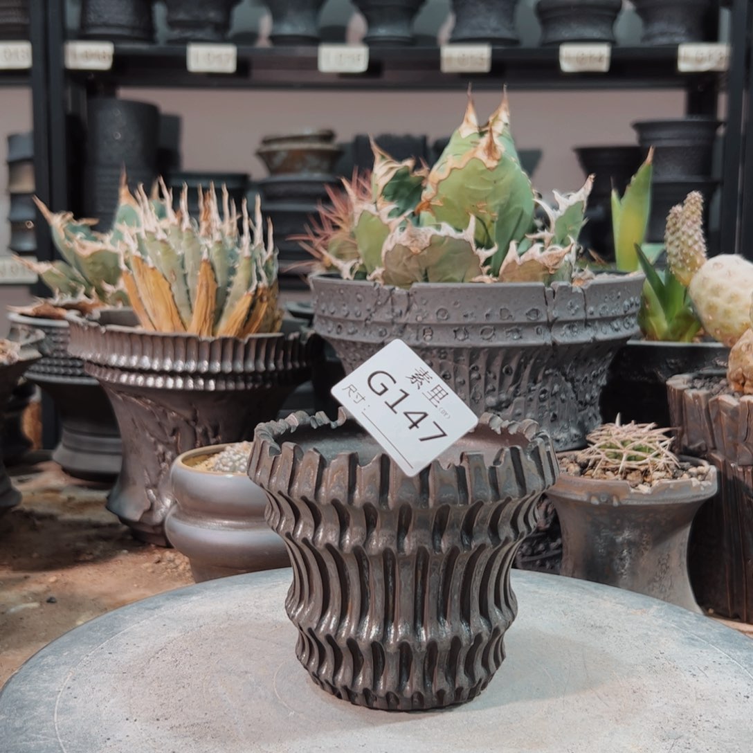 景德镇手工素里内口9.5高9.6