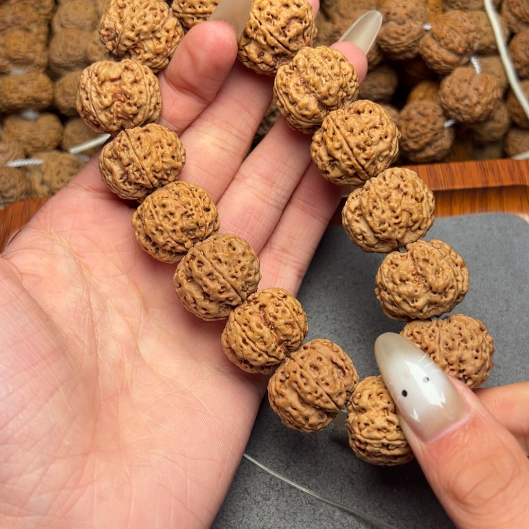 菩提36号尼泊尔大金刚21梅花豆腐块