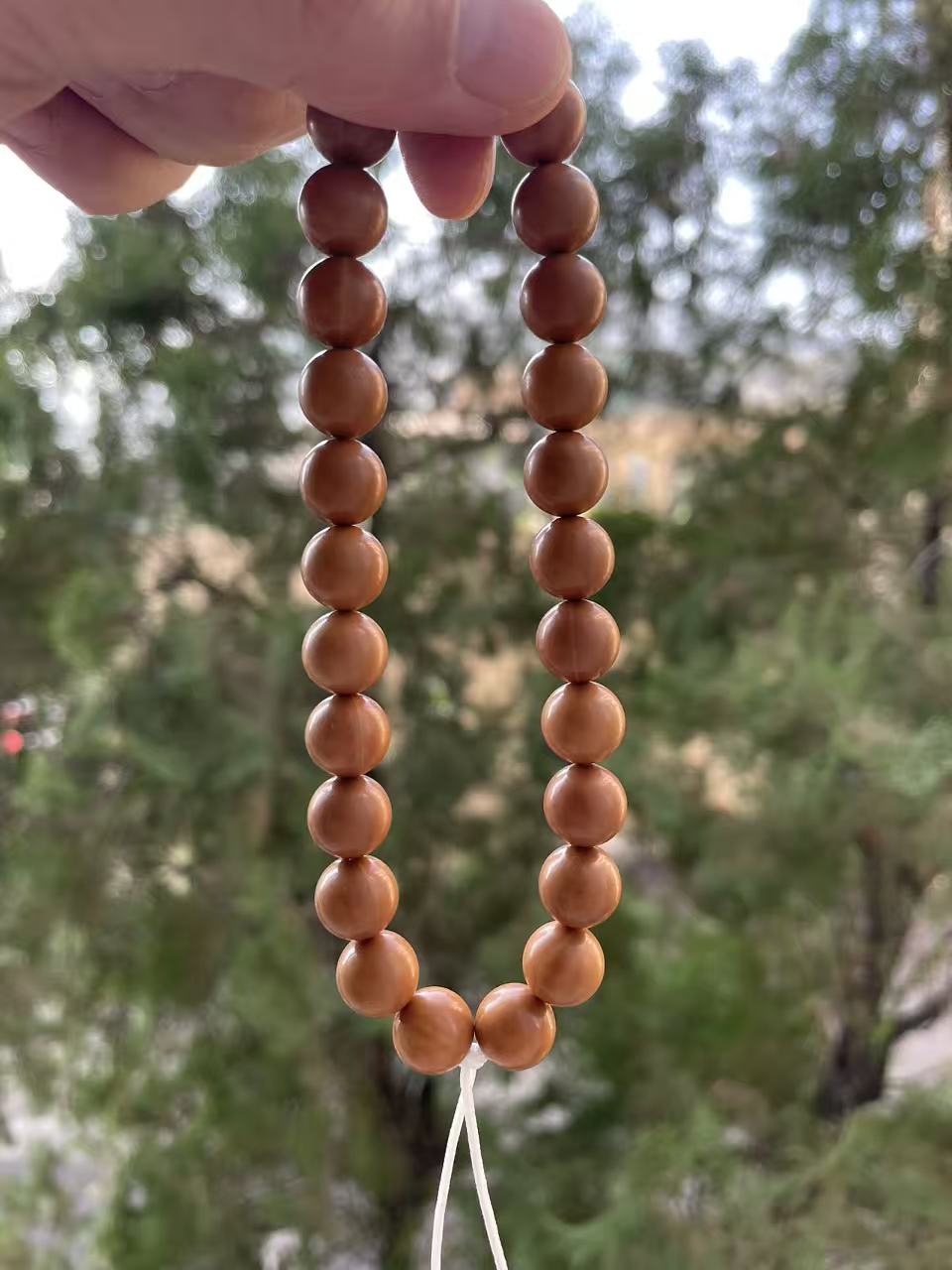 全品猴头光珠手串  A46