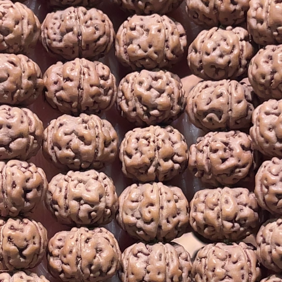 吊坠金刚菩提老树王