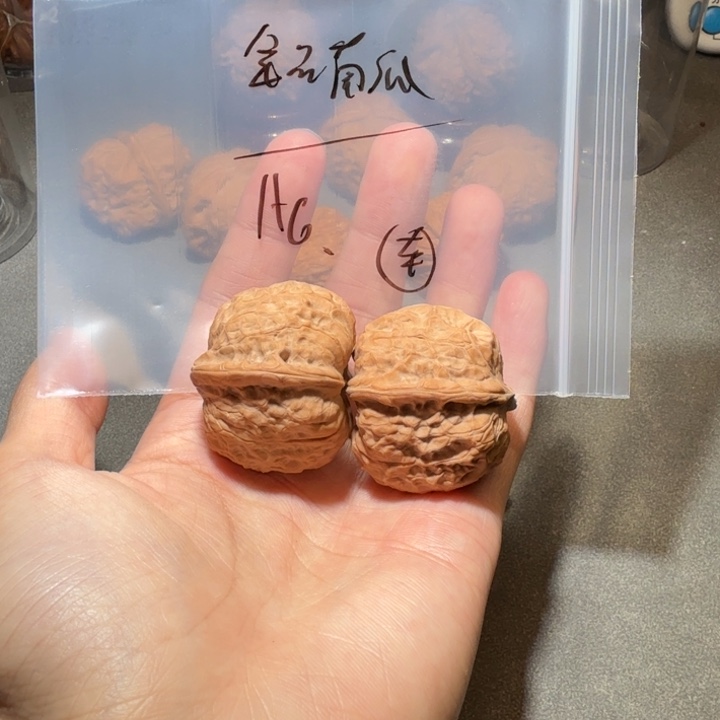 文玩核桃吊坠南瓜