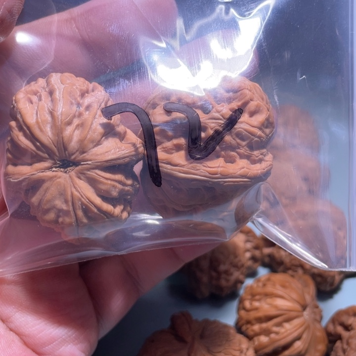 文玩核桃吊坠72呃呃呃