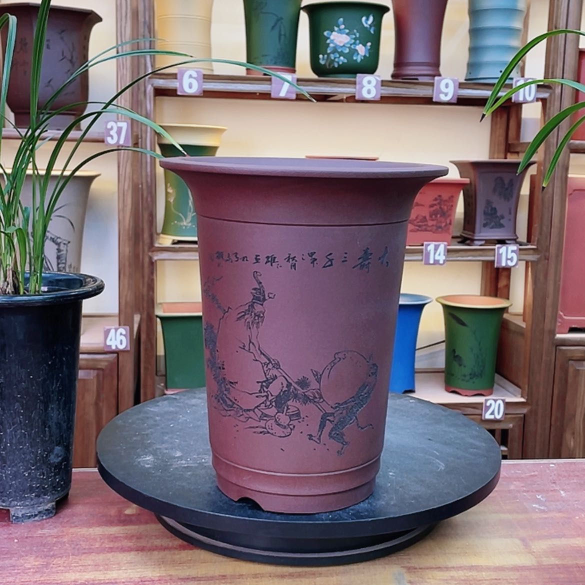 【闪购商品】紫砂花盆恵**畅兰花4556885258556688