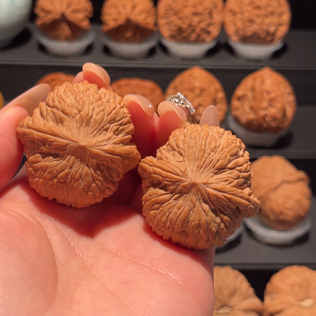 泥鳅背40，精品，货头