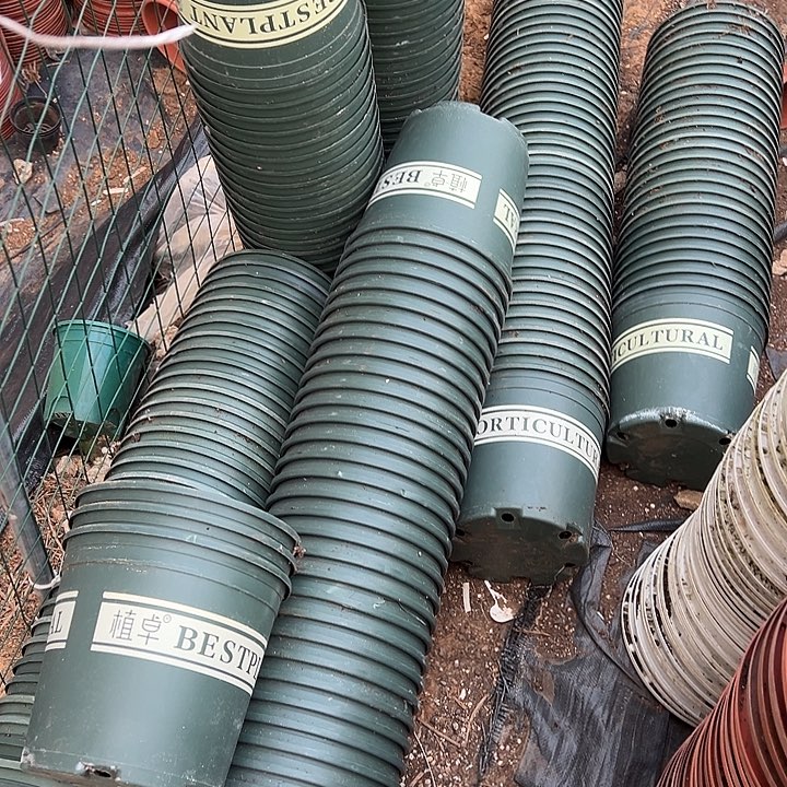 加仑盆口径22高21发6个