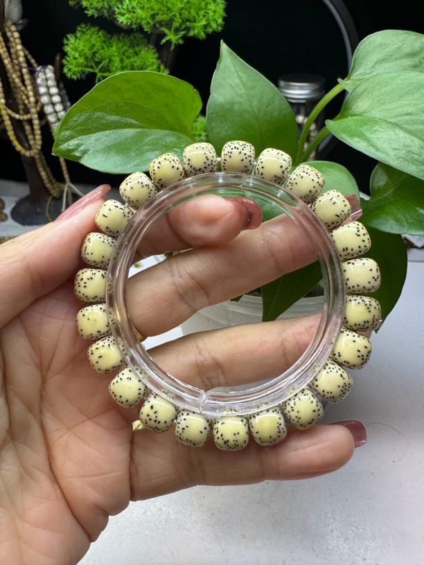 10.9y小文星月老型桶