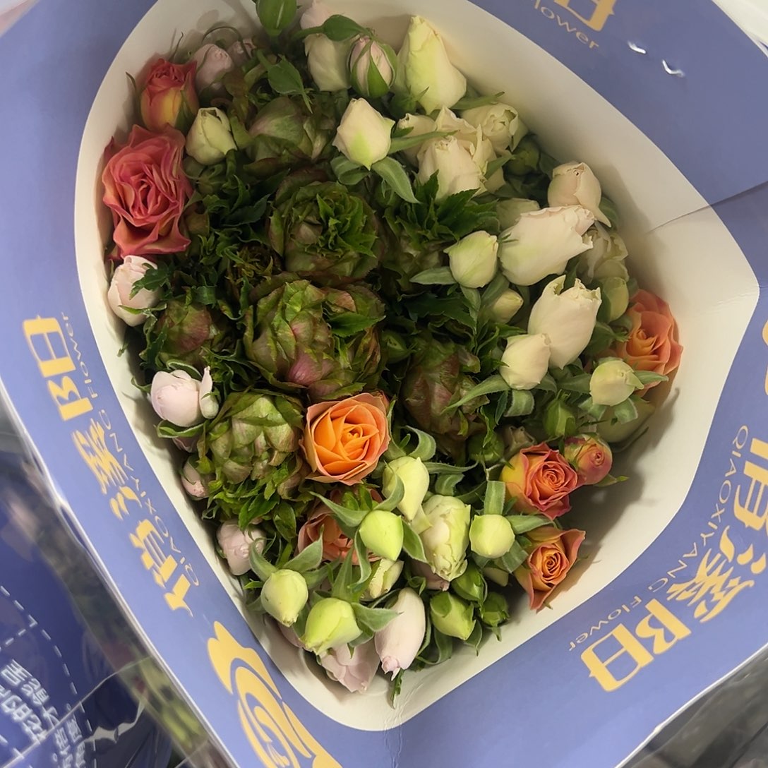 俏夕阳 混多 10支装 拍满三单包邮