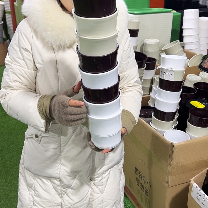 特价竹节口12高12白色带托6只