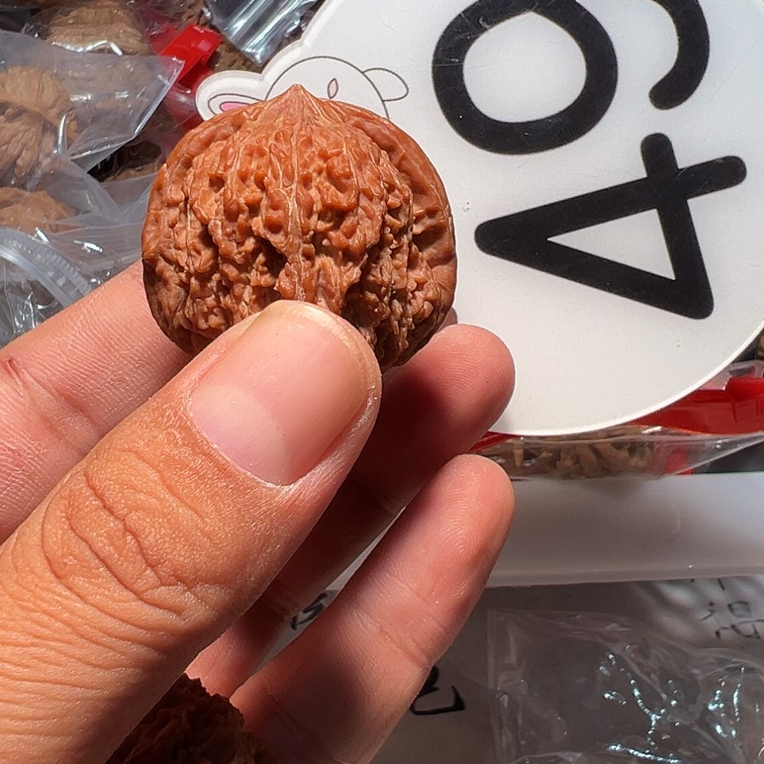 鱼***鱼文玩核桃，白色49号