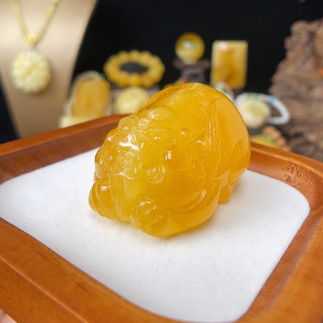 琥珀未镶嵌珠宝奇石植物