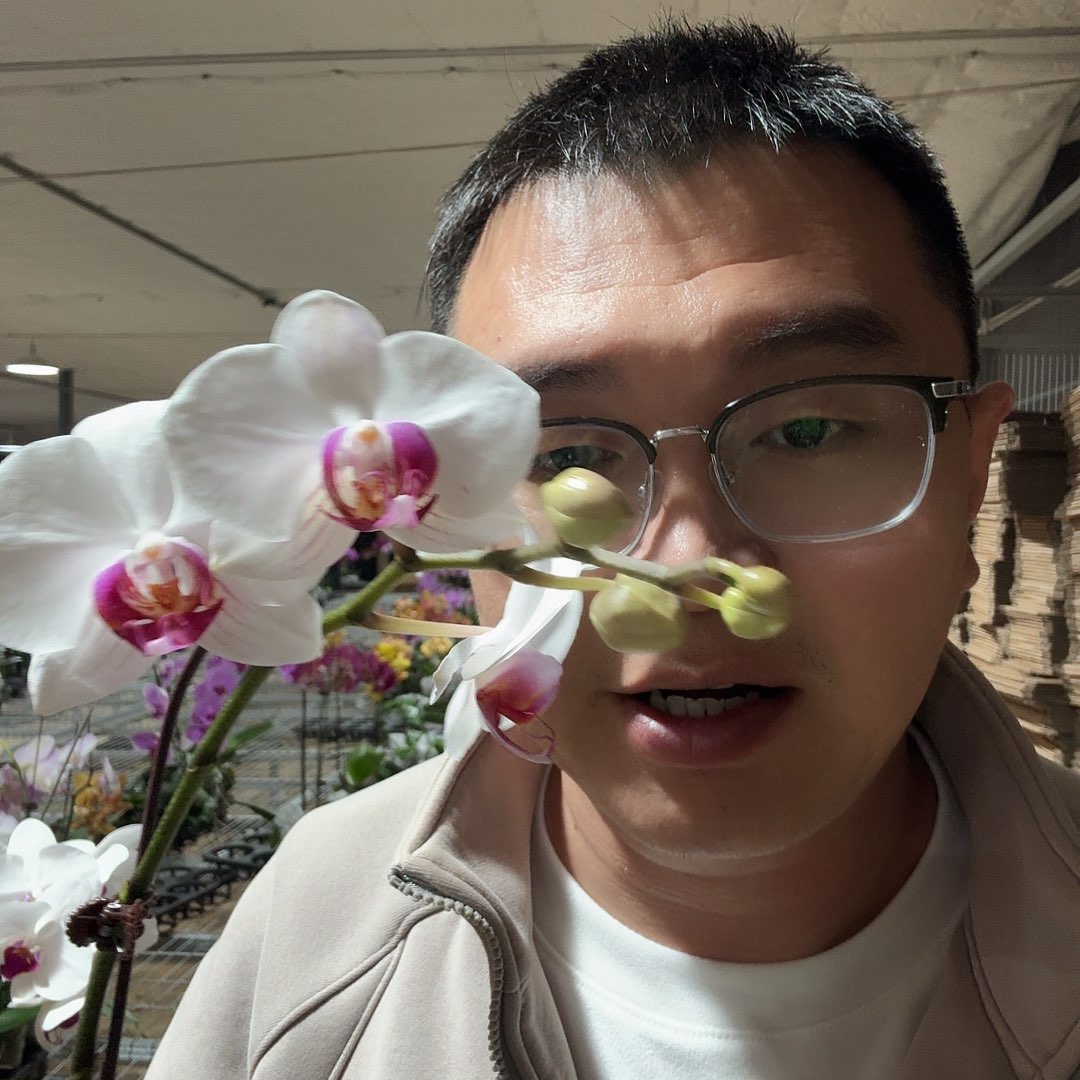 完全开放哈利法克斯3.5带花苞