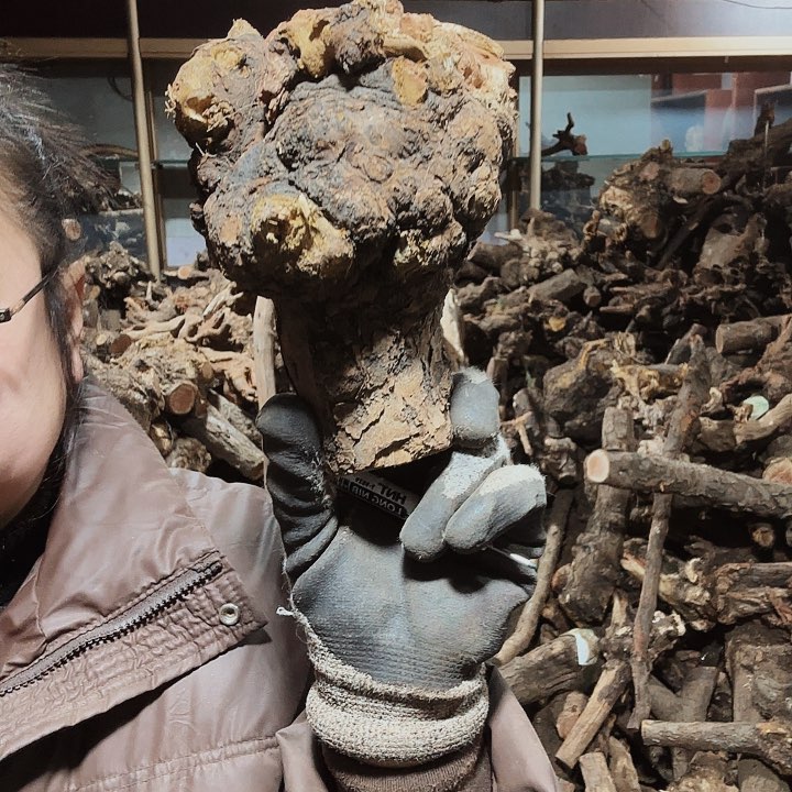 香榧木听*火琉璃的毛料摆件