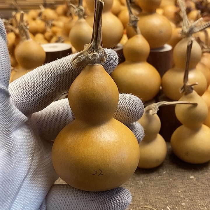 文玩葫芦 完美主义者 慎拍22