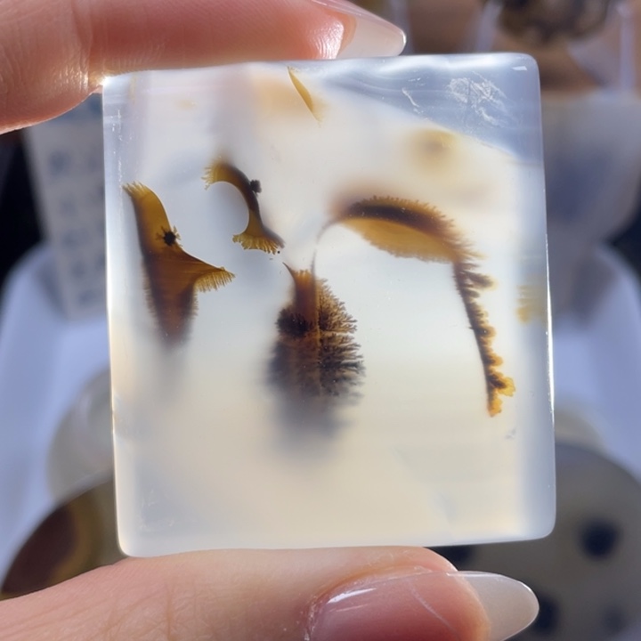 玛瑙/玉髓未镶嵌牌子