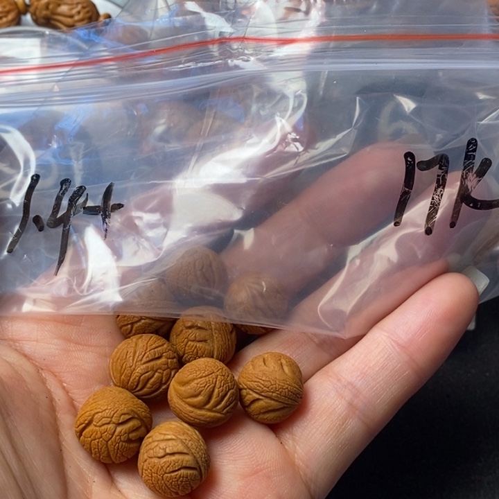 手串桃核秦岭龙纹桃核17尺寸