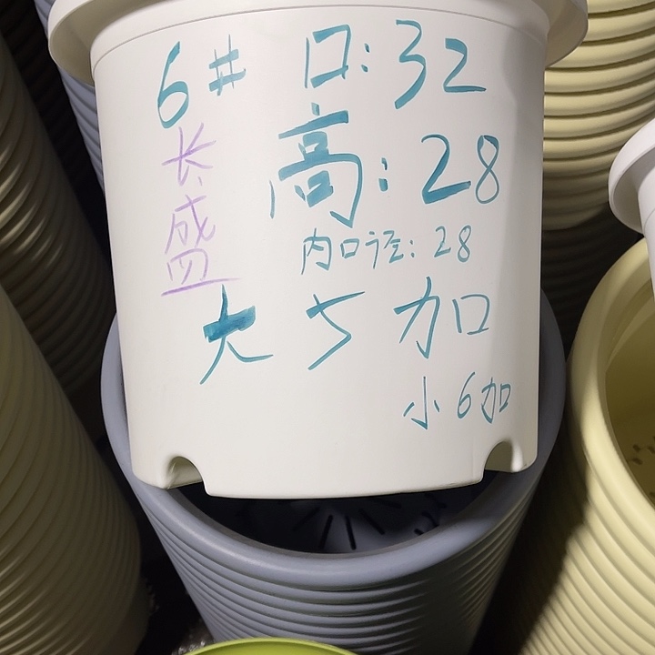 树脂y****。长盛6号白色5个