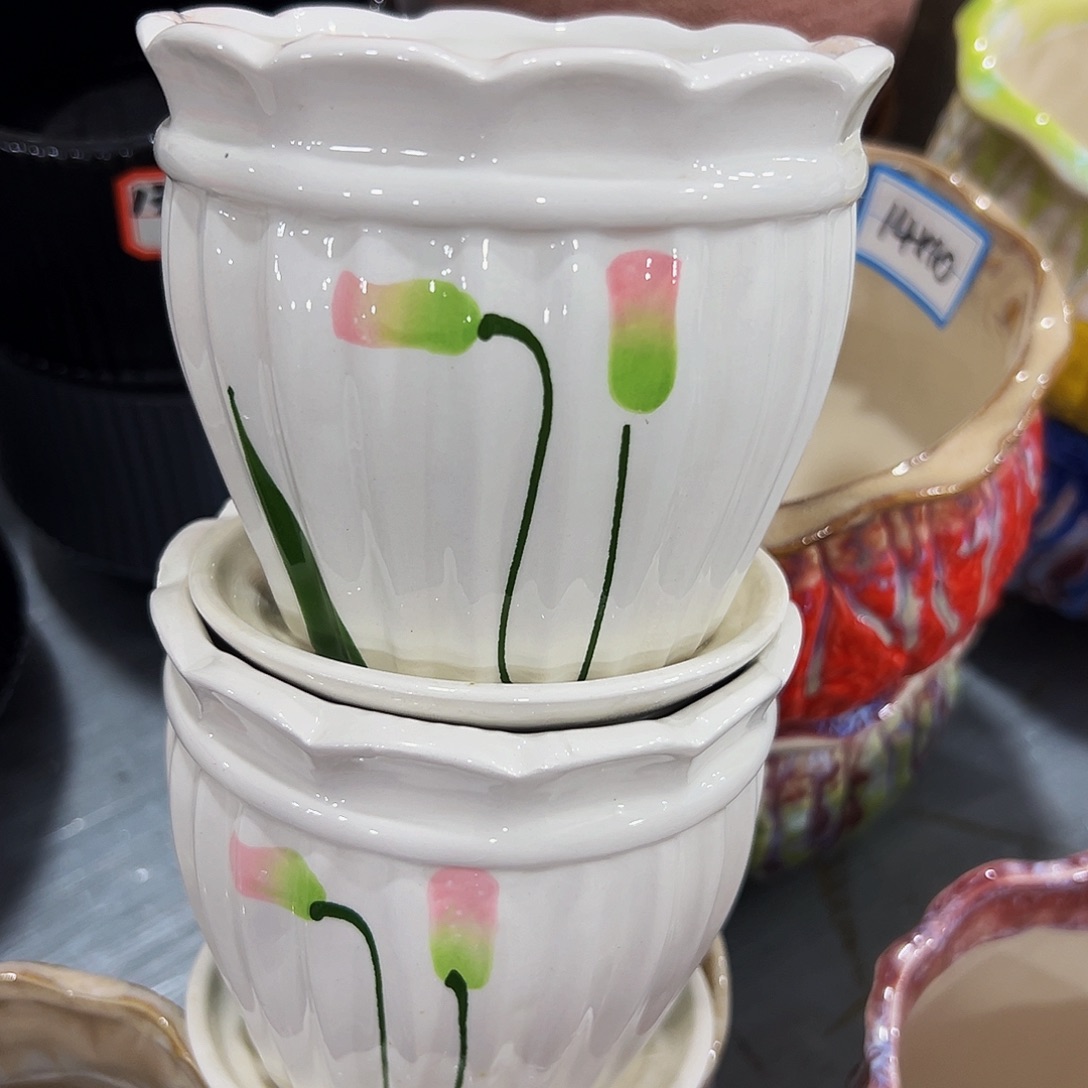 花盆花盆花盆花盆花盆花盆花盆