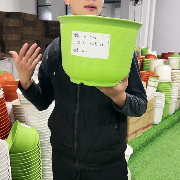 正品矮陶口30高22白色5只无托