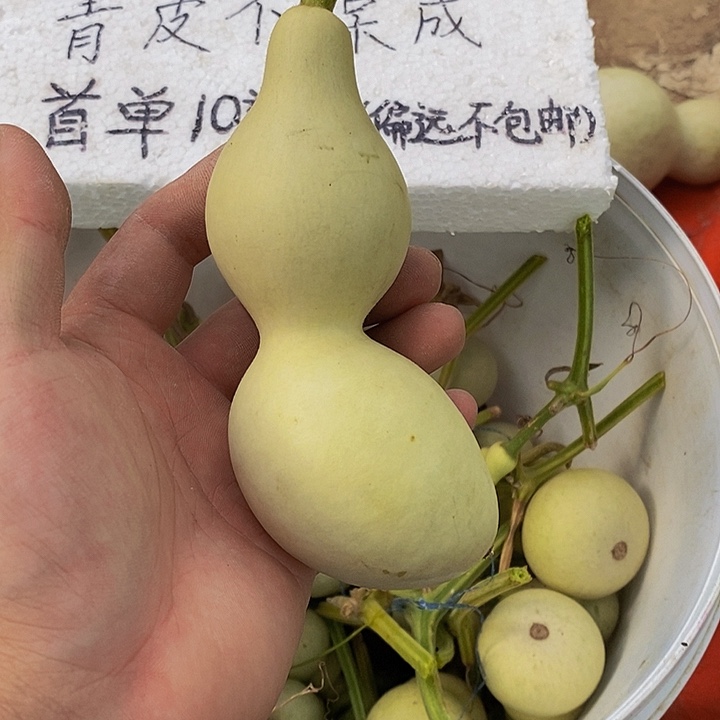 远*呼呼巨巨巨法规和斤斤计较