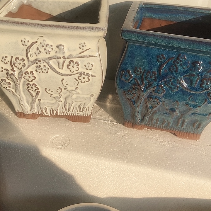 红糖15。。。。。16。。。。。。