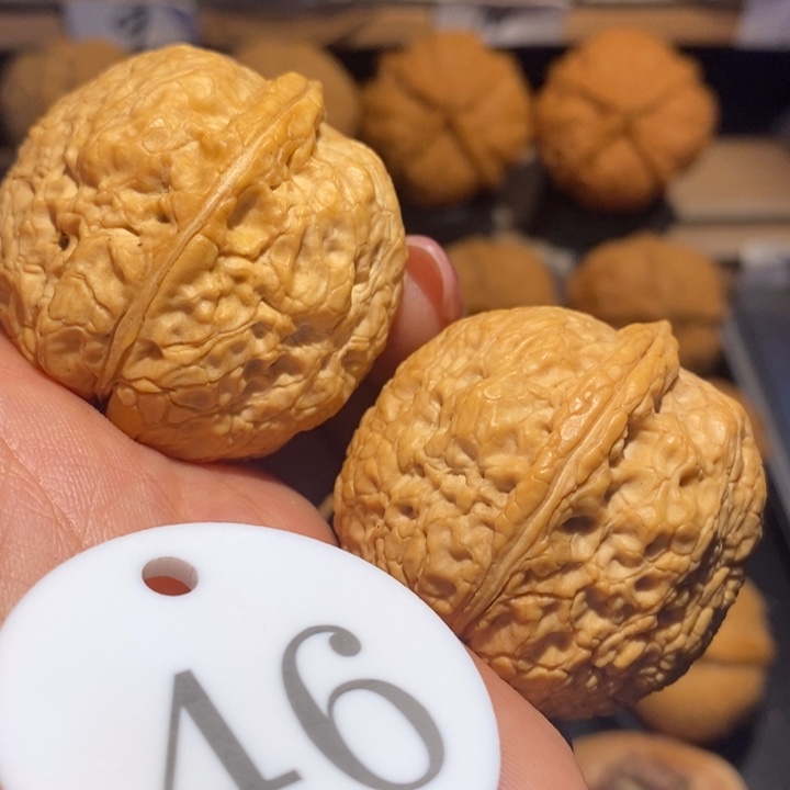 核桃蟒纹平头尺寸37