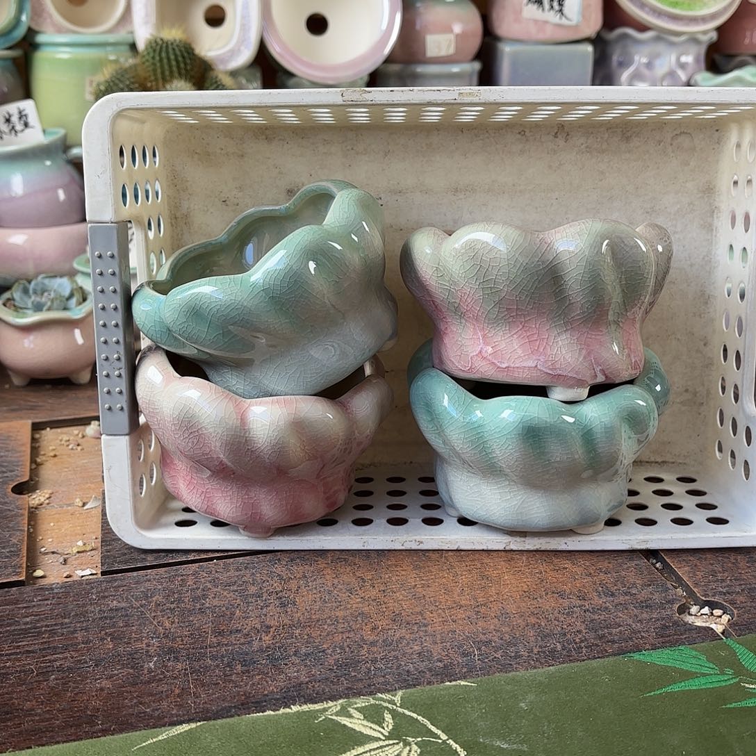 量货/口8高6深浅搭配发4福利