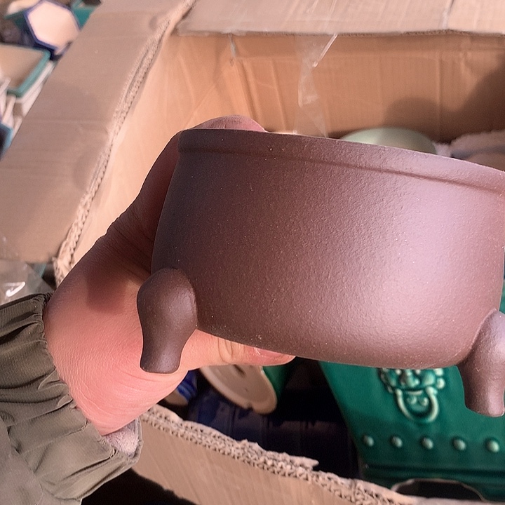 紫砂我要不明天就要考试了……没有