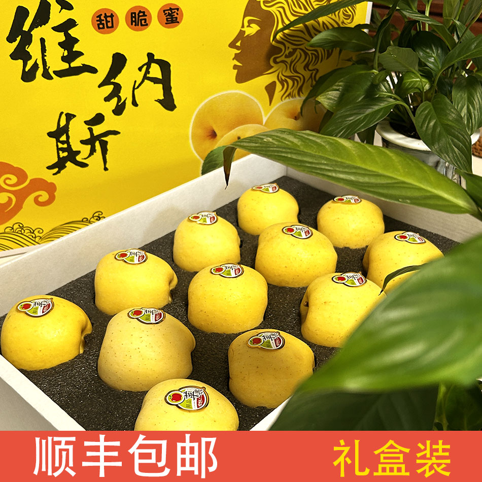 正宗烟台黄金维纳斯苹果新鲜脆甜多汁礼盒  