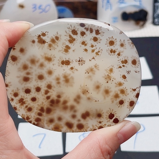 玛瑙/玉髓珠宝奇石未镶嵌