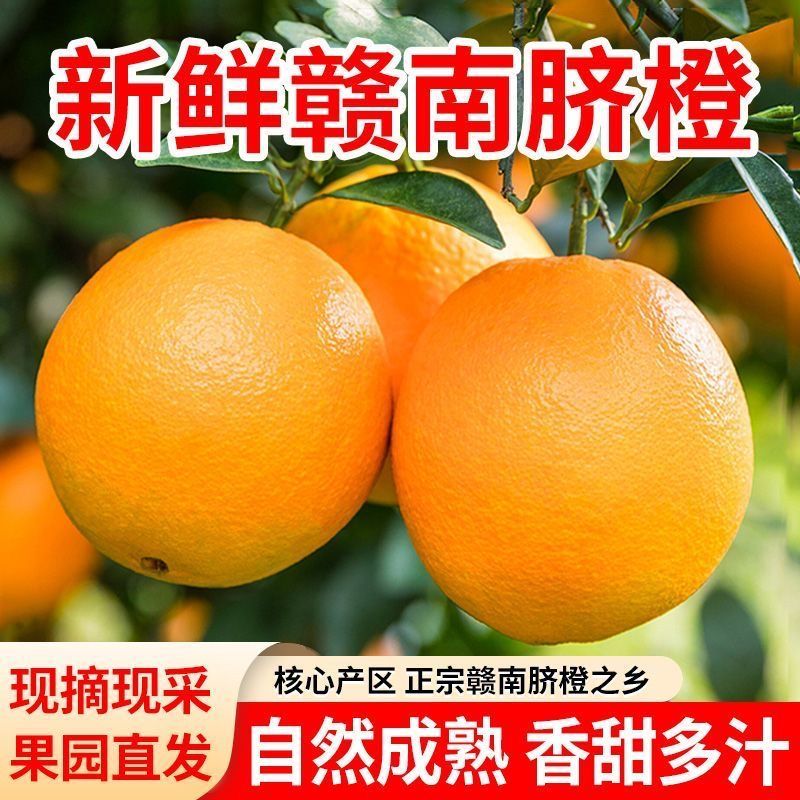 正宗江西赣南正宗脐橙鲜嫩脆爽当季新鲜水果甜橙子