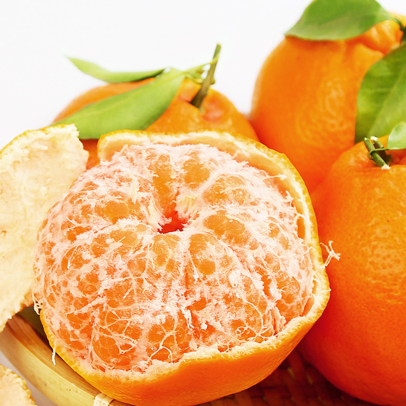 长风春见耙耙柑~橙箱礼盒