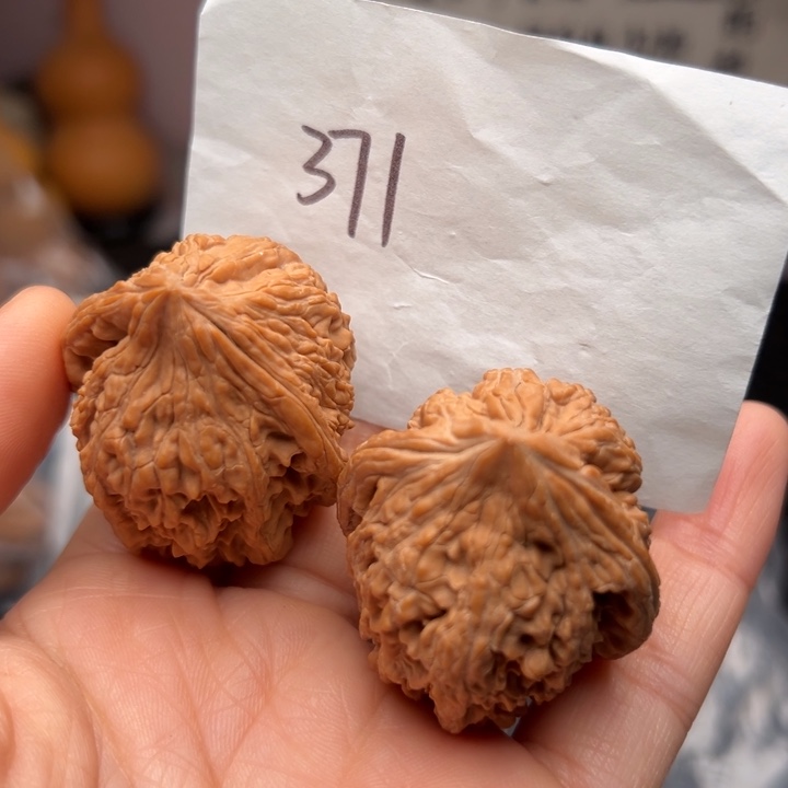 核桃37尺寸大沽石