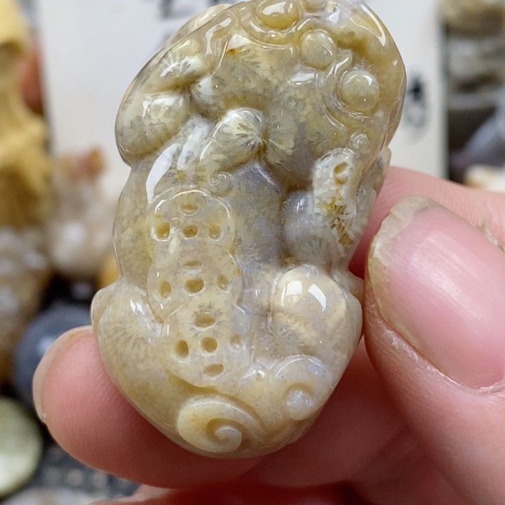 颈饰未镶嵌硅化珊瑚（珊瑚玉）