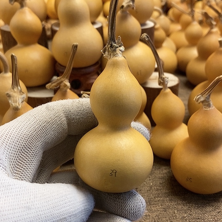 文玩葫芦 完美主义者 慎拍39