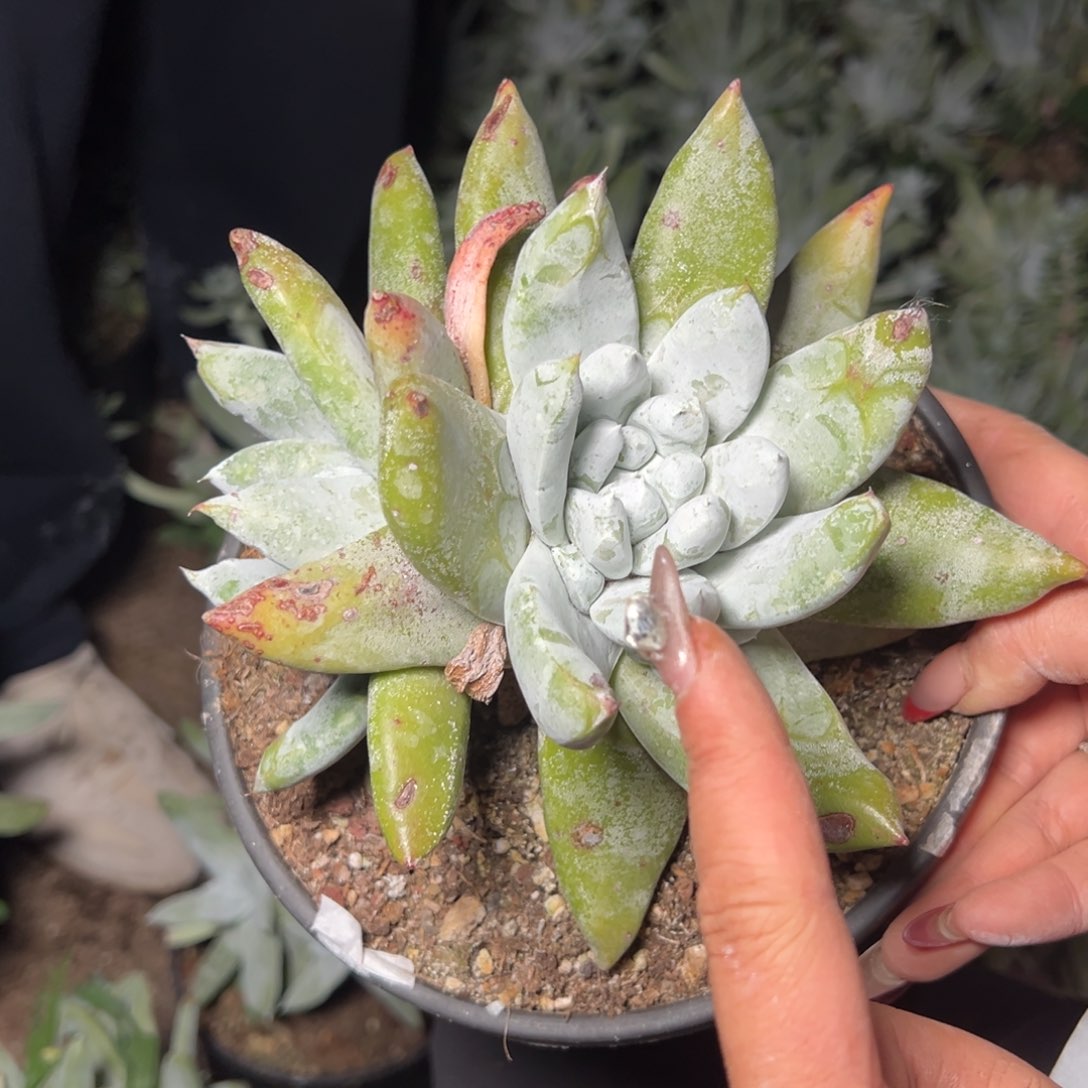 M**闵376哈哈哈哈哈哈哈哈 