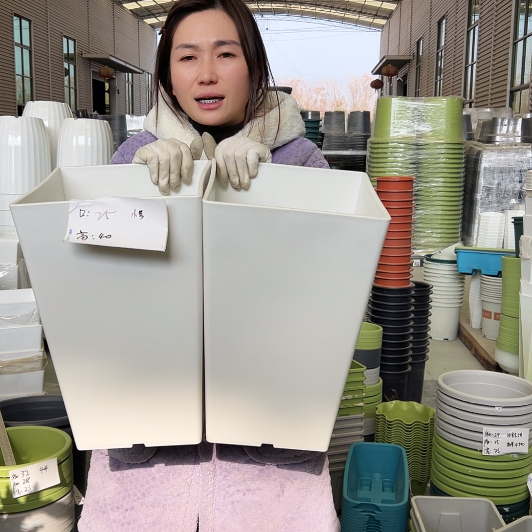 瑕疵方盆小号白色2个无托
