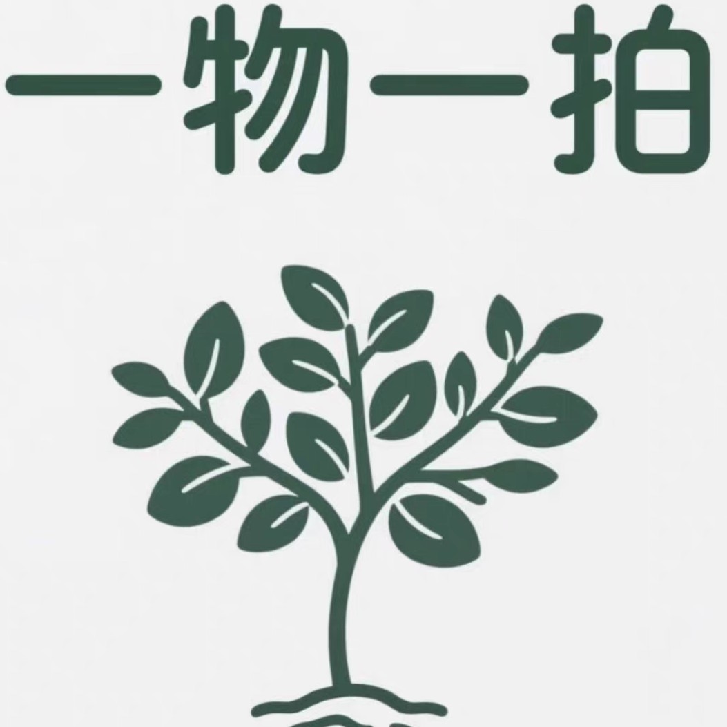 柿子荔枝苗无核妃子笑糯米糍荔枝苗南北方种植果树苗带叶发