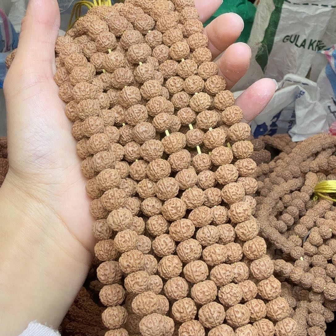 吊坠金刚菩提东爪洼老树王1条  保全品手持