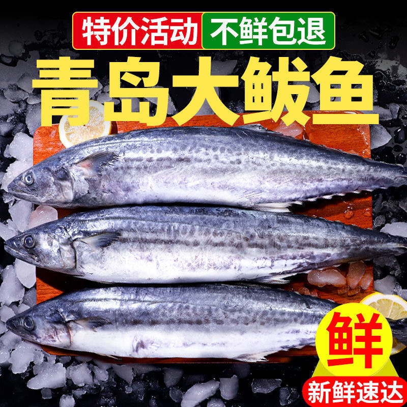 鲭鱼新鲜整条香煎鲅鱼鱼鲜嫩美味