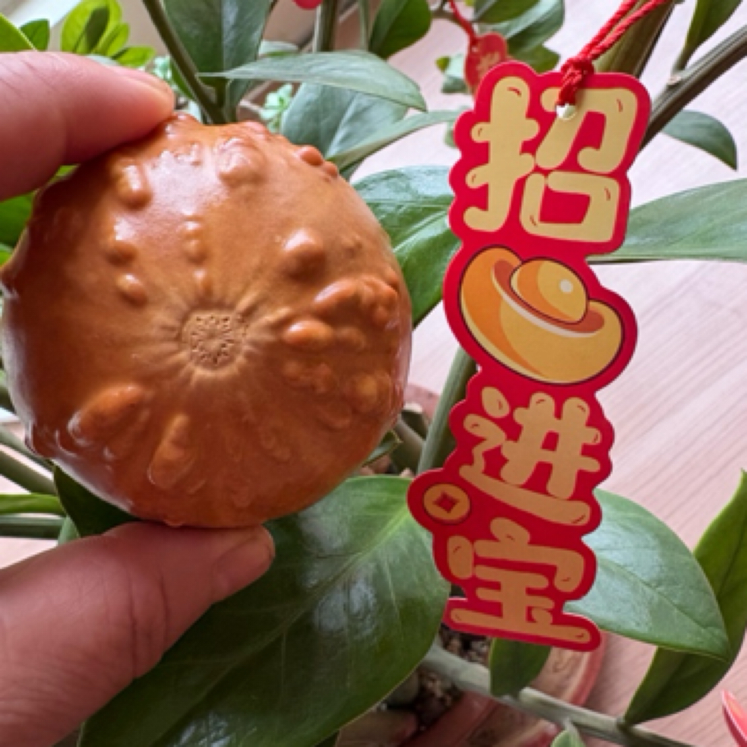 疙瘩葫芦响籽厚皮