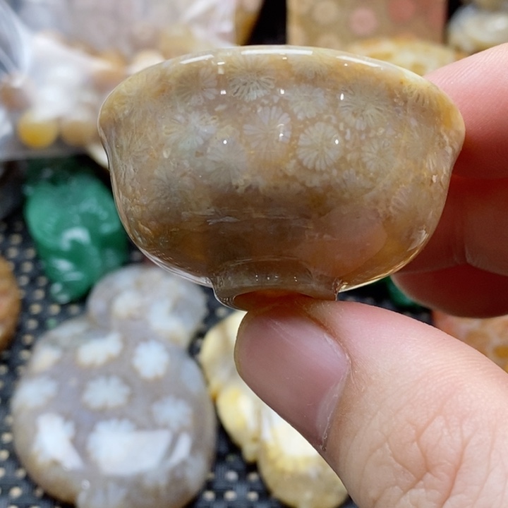 硅化珊瑚（珊瑚玉）颈饰未镶嵌
