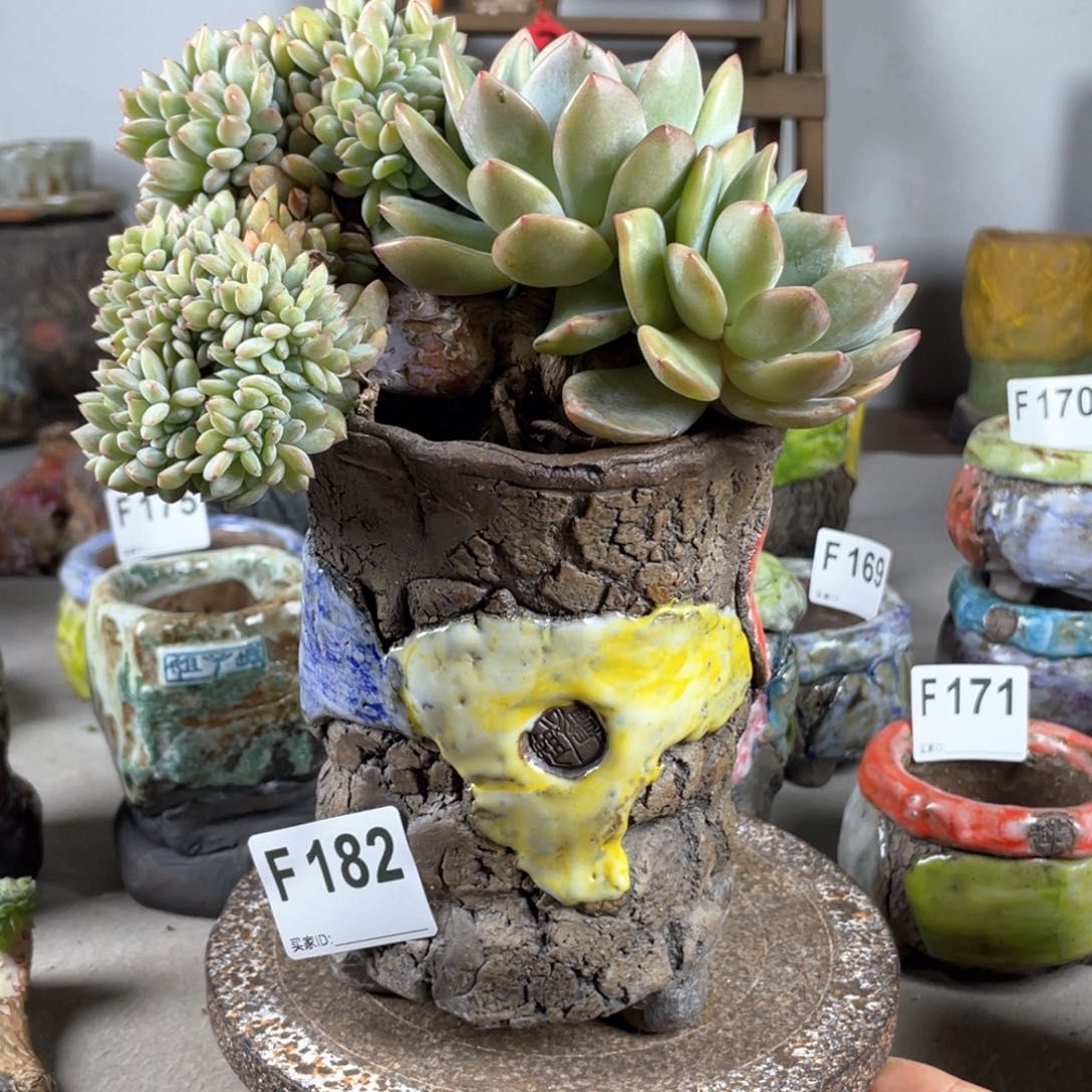 紫砂花盆油画山石孤品中号老桩 异型 不含肉 内口9.5