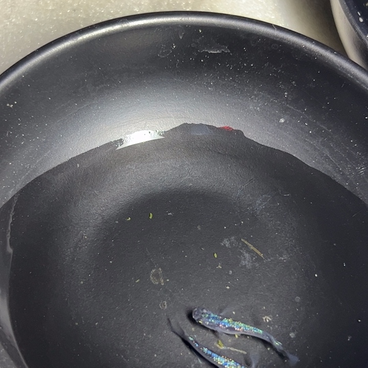 青鳉蓝宝石 品相自观 偏远不包邮
