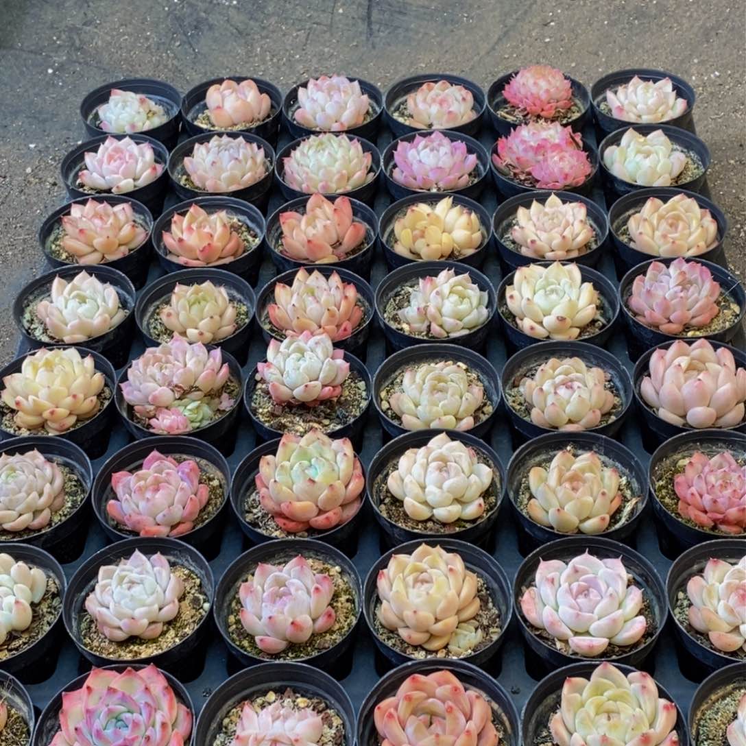 254的人在一起的时候