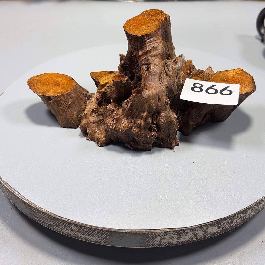 大果紫檀（缅甸花梨）用****4