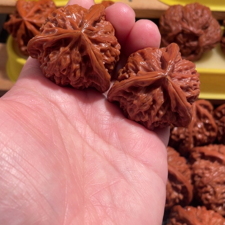 7***1核桃手串/手链核桃核桃