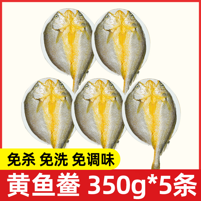 【专属福利】三去开背大黄花鱼350g（4+1到手5条）黄鱼鲞去内脏免处理