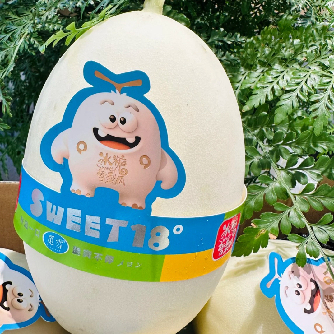 胖墩墩冰糖蜜瓜一颗1.5斤左右