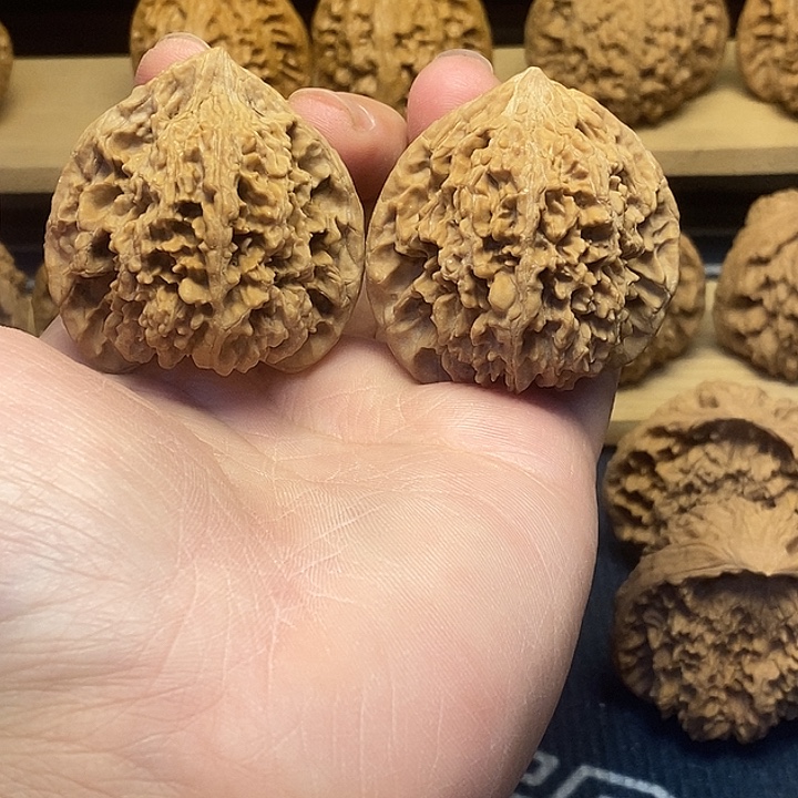 核桃44全品满天星福利