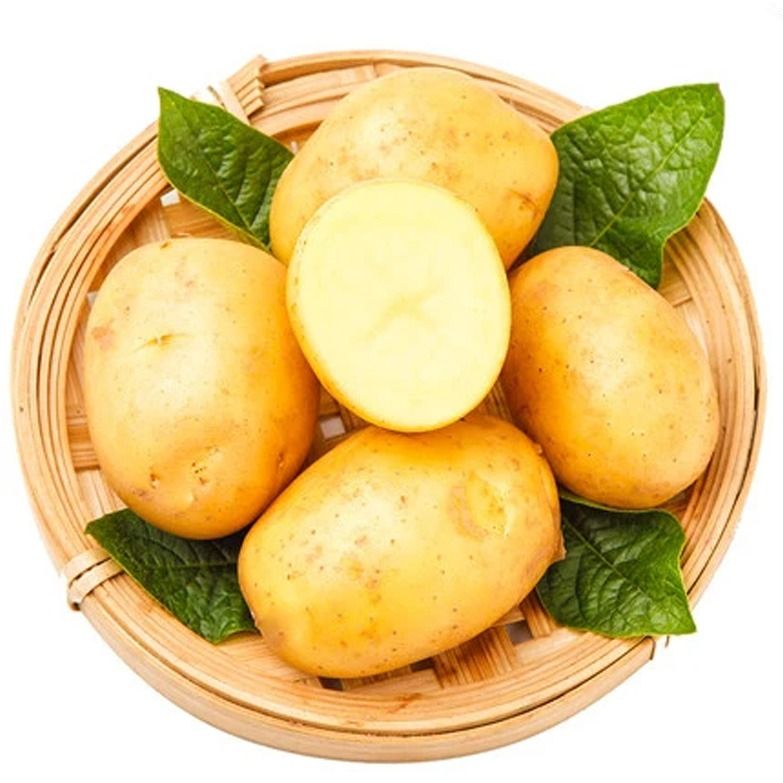 新鲜黄心土豆1000g大土豆